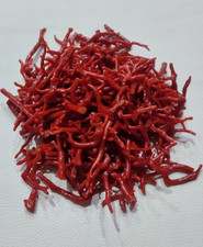 Ramo di corallo rosso pietra