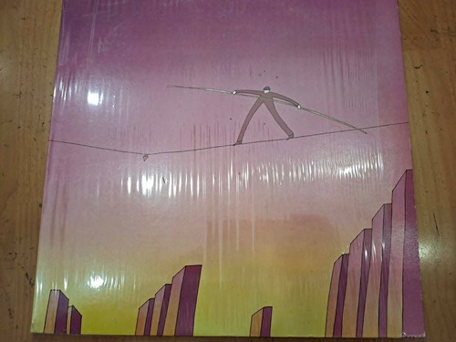 Riccardo cocciante anima - anima, lp