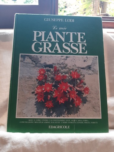 Mie piante grasse - piante, di