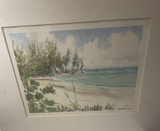 Dipinto acquerello David