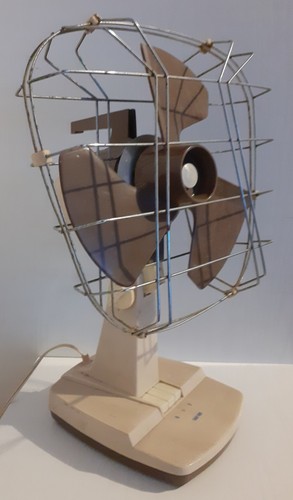 Raro ventilatore taurus - raro,