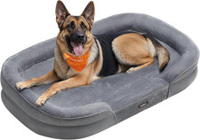 Cuccia per Cani Di Taglia