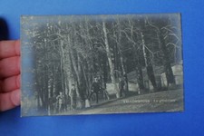 Postcard Vallombrosa The