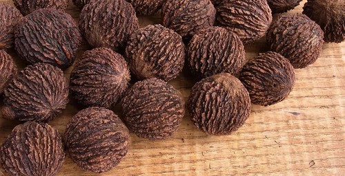 Semi juglans nigra - 5, semi-juglans