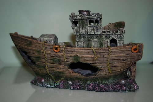 Splendido acquario dettagliato - splendido,