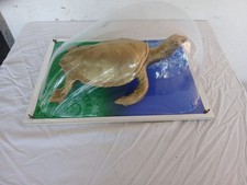 Cracking Art,  Sos World