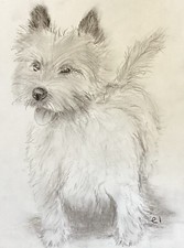 Quadro originale cane ritratto