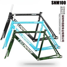 Telaio Bici Ingranaggio Fisso