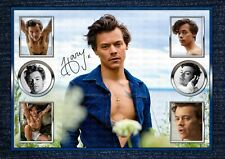HARRY STYLES  SIGNED ORIGINAL