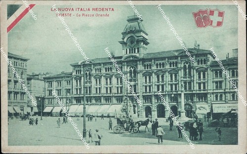 Ap565 cartolina nuova - ap565,