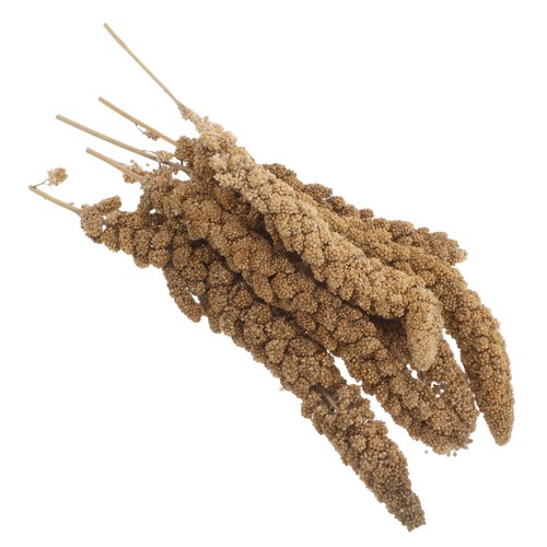 Snack per pappagalli - snack,