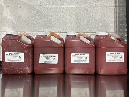 Datil mash libbre - 10,