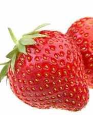 Pianta di FRAGOLA RIFIORENTE a