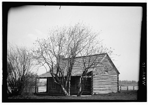 Foto chehalis jackson - foto:,