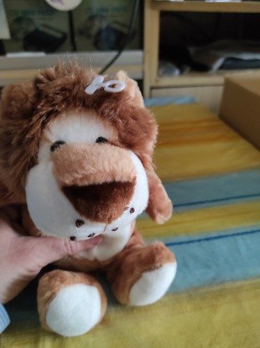 Peluche leone - di,