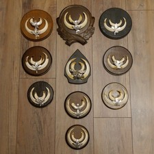 Wildschweinwaffen (Sus Scrofa)