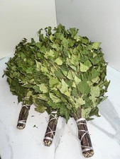 10 scope betulla 2025