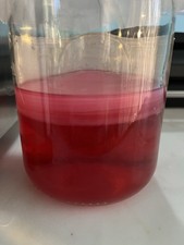 Kombucha Starter forte e sano