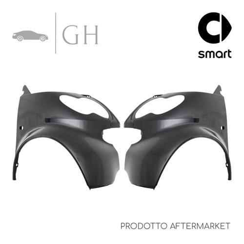 Set coppia parafanghi ant - coppia,