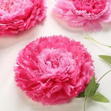 Confezione 12 Fiori Garofano