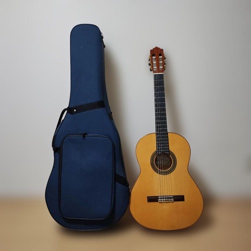 Paco castillo flamenco - paco,