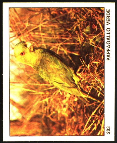 Mondo degli animali - degli,