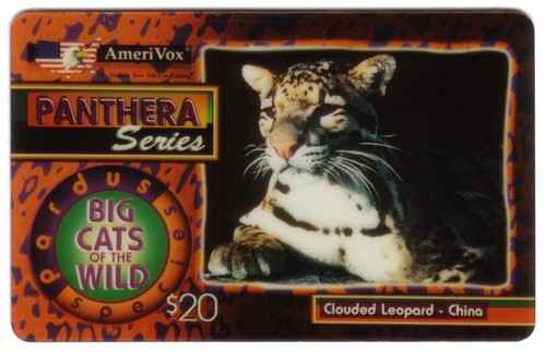 Nebuloso leopardo cina - leopardo,