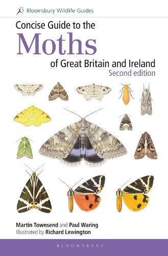 Martin townsend concise - townsend,
