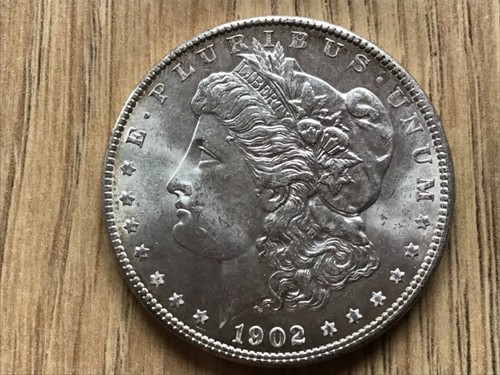 Dollaro morgan argento 1902 - dollaro,