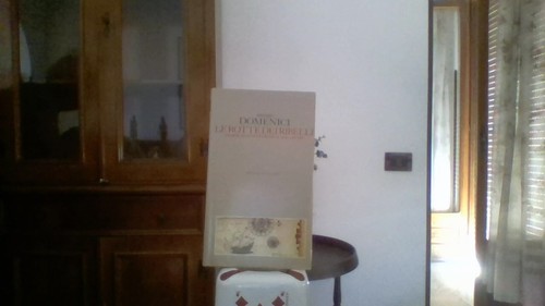 Viviano domenici le rotte - domenici,