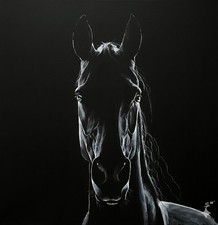 Dipinto cavallo frisone - cavallo,