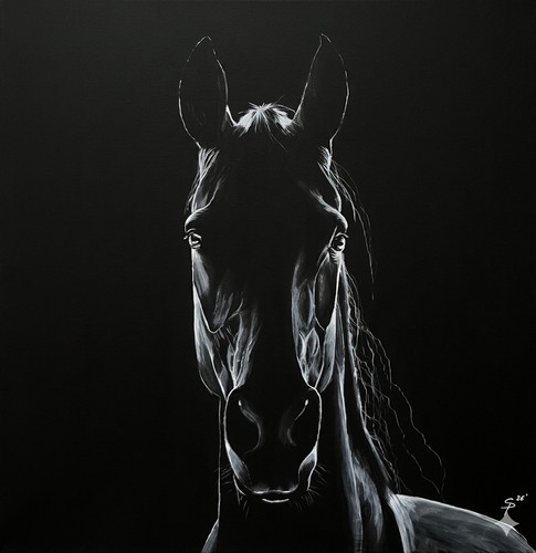 Dipinto cavallo frisone - dipinto,