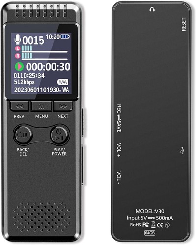 Registratore vocale audio