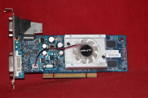 Pny nvidia geforce 8400gs - pny,