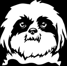 Adesivo SHIH-TZU - adesivo auto - testa di Shih Tzu - sticker #03