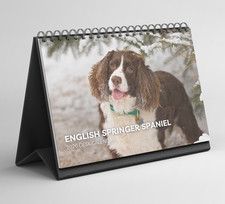 Calendario da scrivania