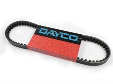 Cinghia trasmissione Dayco
