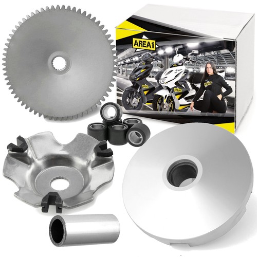 Kit variatore area1 piaggio - area1,