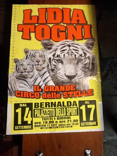 Lidia togni grande circo - grande,