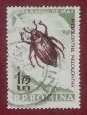 Romania 1956 75b usato - romania,