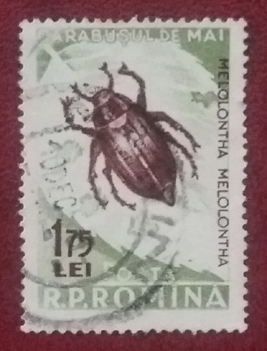 Romania 1956 75b usato - romania,