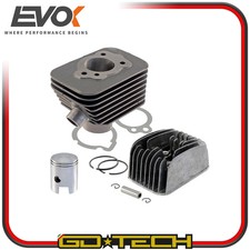 GRUPPO TERMICO CILINDRO EVOK