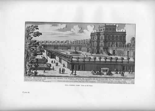 1906 stampa disegno giardino
