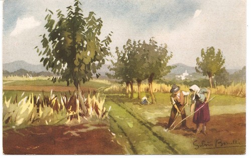 Illustratore silvio bonelli - illustratore,