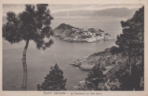 Cartolina sestri levante - ,