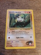 BROCK'S MANKEY 67/132 GYM