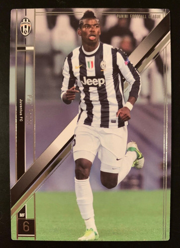 2013 panini football league - football,