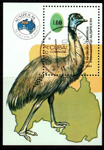 Uccellino emu - uccellino,