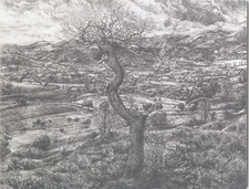 STELLUTI ROBERTO  disegni e incisioni 1971-2010  Comune di Fabriano