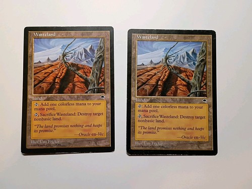 Carte mtg wasteland tempest - wasteland,
